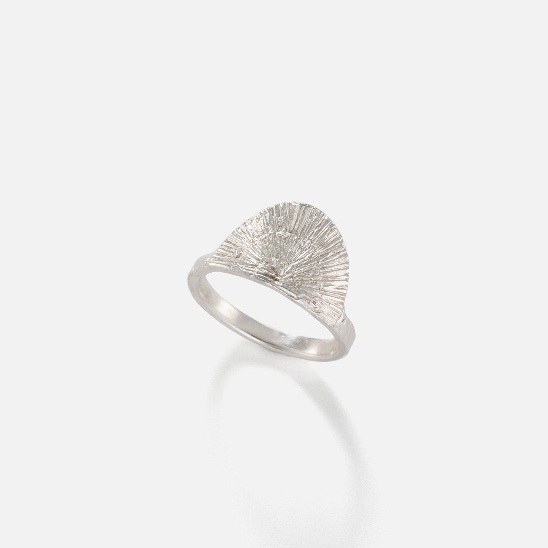 HERA RING
